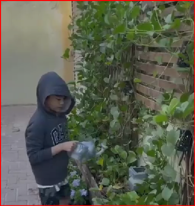 Case Study: Building Confidence Through Speech & Behavior Therapy